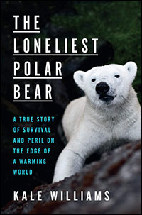 Loneliest Polar Bear
